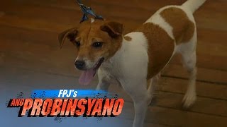 FPJs Ang Probinsyano Caryok With Eng Subs [upl. by Backler]