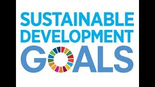 The Sustainable Development Goals 17 Goals to Transform Our World [upl. by Faxon549]