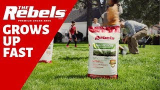 Grow a Lush Green Lawn with The Rebels Premium Grass Seed [upl. by Weisbart]