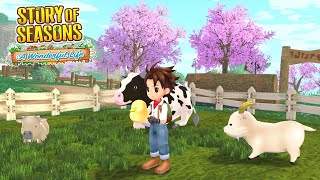 Updated Dairy Farming Sneak Peeks  Story of Seasons A Wonderful Life [upl. by Burn]