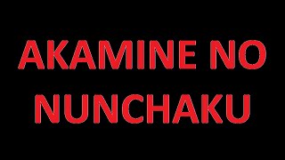 Ryukyu Kobudo Shimbukan Akamine no Nunchaku [upl. by Hollis]