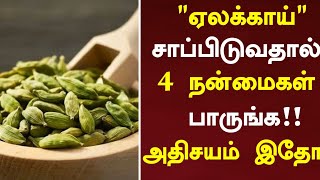 ஏலக்காய் மருத்துவ நன்மைகள்  Cardamom Health Benefits in Tamil Tamil News  Health Tips in Tamil [upl. by Aikyt]