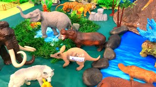 Montessori Endangered Animals Flashcards amp Puzzles for Kids [upl. by Vaasta229]