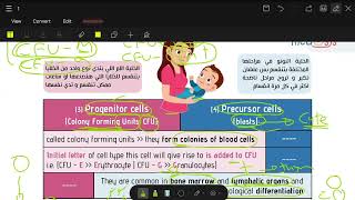 hematopoiesis part 1 main [upl. by Sidonnie]