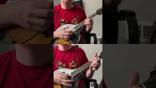 Nirvana quotPennyroyal Teaquot mandolin version [upl. by Connel]