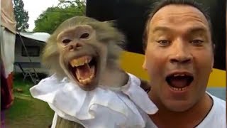 Monkey and Guy Screaming FUNNY [upl. by Gazo]