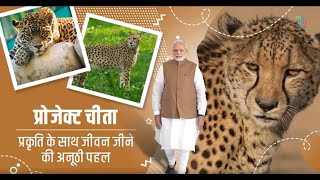 India Welcomes Cheetah  Project Cheetah [upl. by Gerdi]