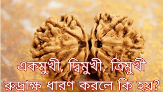 একমুখী দ্বিমুখী ত্রিমুখী রুদ্রাক্ষ ধারণ করলে কি হয় [upl. by Leahcimaj]