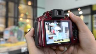 12fly TV  Nikon CoolPix P510 Tutorial Video with Dorothy [upl. by Moshe]