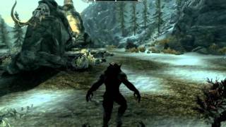 Skyrim graphics glitchbug READ DESCRIPTION [upl. by Lauer]