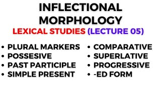 Inflectional Morphology  Lexical Studies  Linguistics  Difference bw Derivational amp Inflectional [upl. by Naerad]