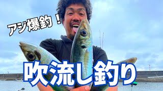 【餌釣り】２時間あればクーラー満タン！エビだけでこんなに釣れるとは・・・ [upl. by Ahsaz]