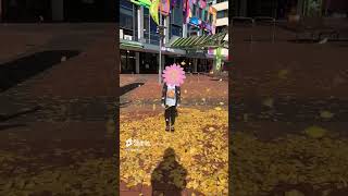 Part 2 Slow Motion Leaves Falling [upl. by Wina21]