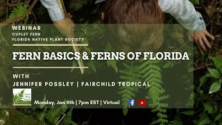 Fern Basics and Ferns of Florida🌿 With Jennifer Possley of Fairchild Tropical Botanic Garden [upl. by Gaylene562]