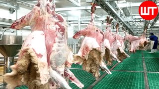 How Sheep Meat is Processed  Modern Sheep Farming Technology  Food Factory [upl. by Griggs]