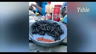 Mopane worms are rich in protein 🌍 [upl. by Candy834]