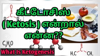 What Is Ketosis Ketosis Tamil Ketogenesis Tamil  What Happen when We Reach Ketosis Keto diet [upl. by Akela]