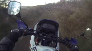 Honda Dominator vs Suzuki dr 600 Enduros [upl. by Yenoh851]