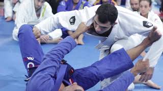 Romulo Barral ensina Armlock da Guarda Aranha COMPLETO Seminário JiuJitsu na Alliance Juventus [upl. by Schnorr]