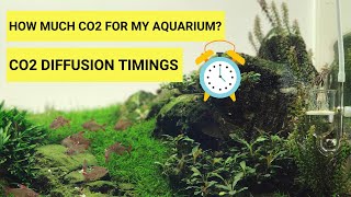 When amp How Much Co2 Does Planted Aquarium Need Co2 bubbles per second in Planted Aquarium [upl. by Pavkovic]