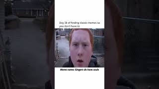 Classic Memes 38 Gingers Do Have Souls [upl. by Tenrag]