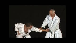 Vision du Karaté Shotokan 6 avec JeanPierre Lavorato [upl. by Neiv230]