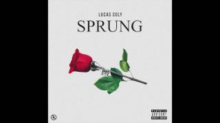 Lucas Coly  Sprung New Music 2017 [upl. by Aisan33]