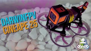 DarwinFPV CineApe 25  FPV малюк для тренувань та відеозйомки [upl. by Notle]