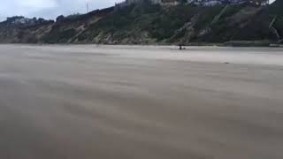 Wind blows sand at Lincoln City [upl. by Czarra]