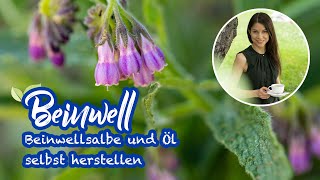 Beinwell  eine wichtige Heilpflanze  Rezept für Beinwell Öl und Beinwellsalbe [upl. by Sunil]