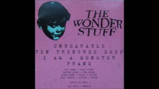 The Wonder Stuff  I Am A Monster The Wonder Stuff B Sides [upl. by Adel247]