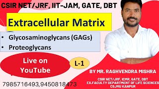 Extracellular matrix  Glycosaminoglycans  GAGs  Proteoglycans  Cellular communication  Unit4 [upl. by Sue]