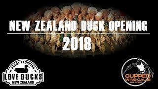 Duck Hunting Opening Weekend NZ 2018 [upl. by Adnilrev]