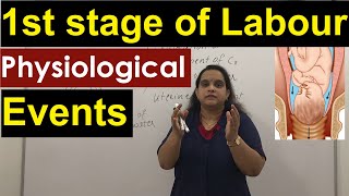 Events in the First stage of Labour  Physiology in 1st stage of Normal Labour  Nursing Lecture [upl. by Anileuqcaj]