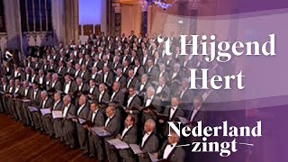 Nederland Zingt Psalm 42  t Hijgend Hert [upl. by Atolrac]