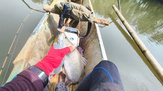 Catching Nucturnal Predator Fish from Murkey Lowtide Waters  Boss Leo [upl. by Mada821]