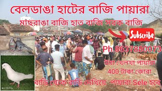 বেলডাঙা সেরা খেলা কবুতর হাট। Beldanga Hat Murshidabad 🕊️🏆 1ksubscribers 100kviews pigeon [upl. by Relyhcs]