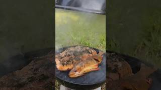 smoked salmon and perch food salmon grilling perch fish fishing [upl. by Warchaw]