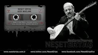 Neşet Ertaş  Gesi Bağları [upl. by Ahsuat]