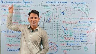 Photosynthetic pigmentsChlorophyllCarotenoidBioenergeticsNCRT MDCATHindi UrduProSuresh Kumar [upl. by Boeschen800]