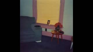 Jandek  They Told Me I Was a Fool Audio [upl. by Dorsman]