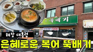 대구 맛집  가성비 찢어버린 복어뚝배기 한그릇  비산복어뚝배기 맛집 대구 대구맛집 대구가성비 [upl. by Zubkoff]