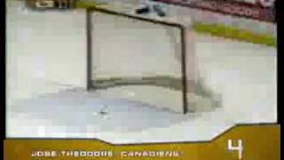 Top 10 NHL Goals By Goaltenders [upl. by Rimidalb17]