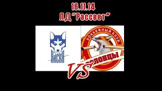 20141116 Хаски  Лисы 3 дивизион [upl. by Ealasaid]