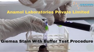 Giemsa Stain with Buffer Test Procedure [upl. by Nosecyrb987]