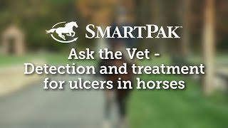 Ask the Vet  Detection and treatment for ulcers in horses [upl. by Aizirk]