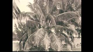 1939  Our Car Trip To Miami Home Movie [upl. by Neils318]