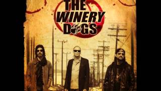 The Winery Dogs  Damaged [upl. by Cori]