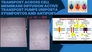 Transport across cell Membrane diffusionactive Transport Pumpsuniports Sysmportos and antiport [upl. by Eelarol301]