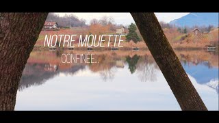 Collectif Volucris  Notre Mouette Confinée [upl. by Alyel]